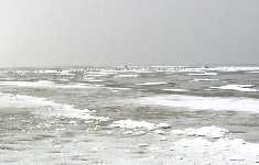 Nordseewellen